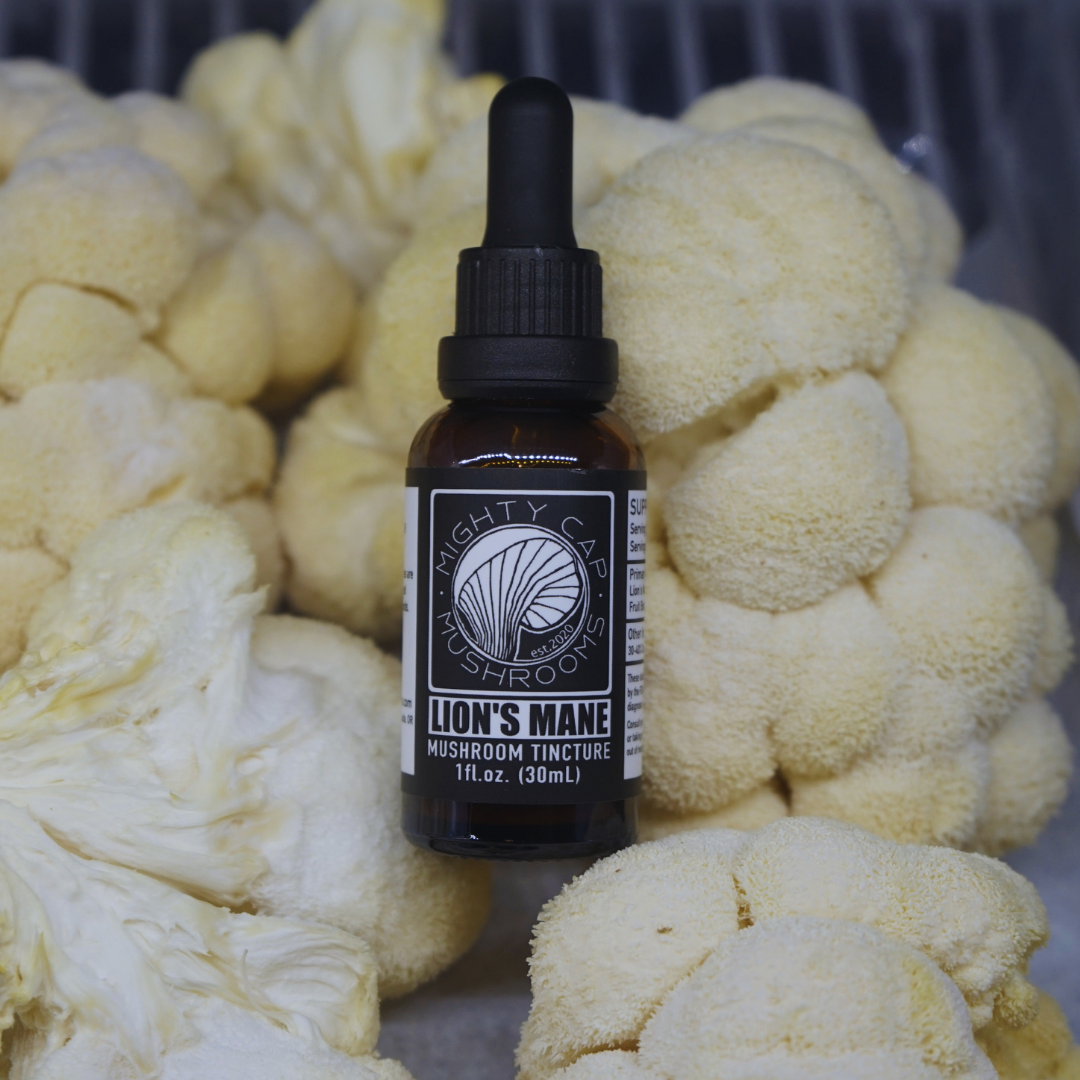 1oz Lion's Mane Mushroom Tincture