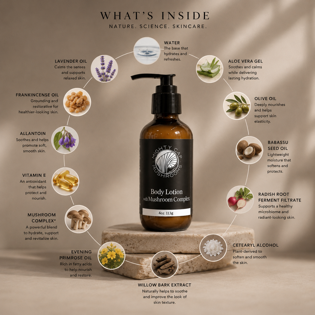 Face & Body Lotion with Mushroom Complex