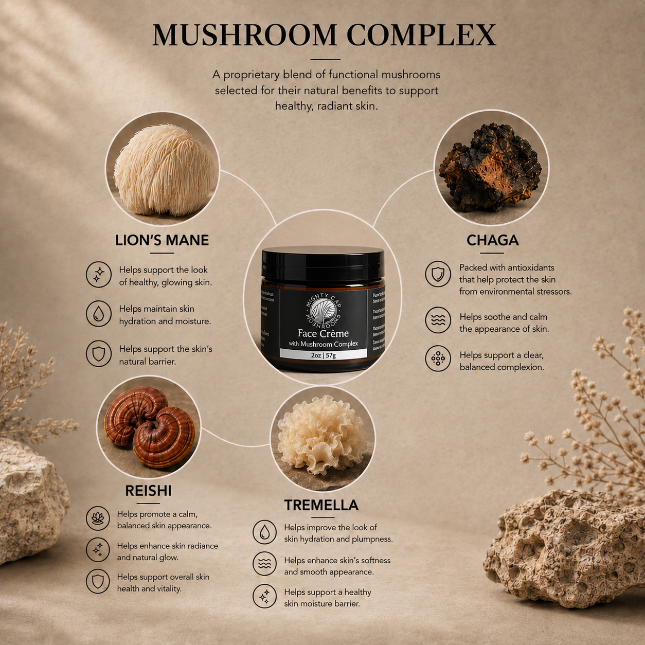 Face Creme with Mushroom Complex