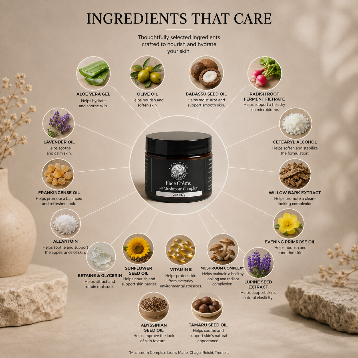 Face Creme with Mushroom Complex