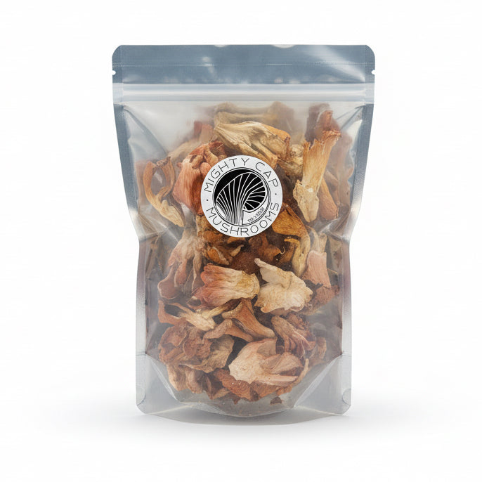 Dried Pink Oyster Mushrooms (whole fruitbody) 3oz package