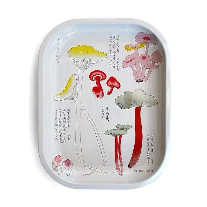 Mushroom Trays
