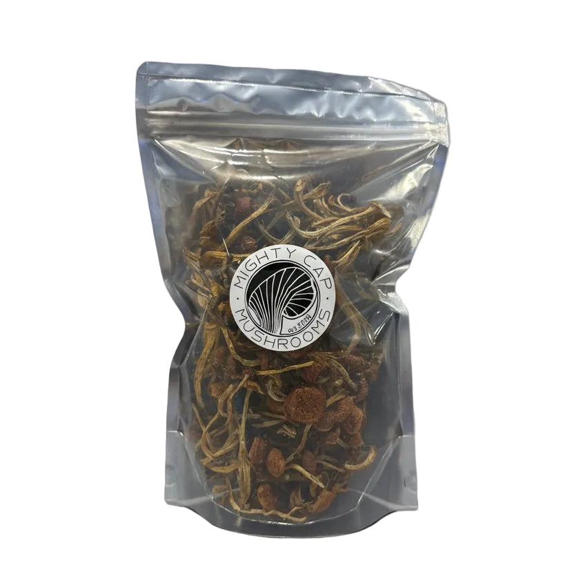 Dried Chestnut Mushrooms (whole fruitbody) 3oz package