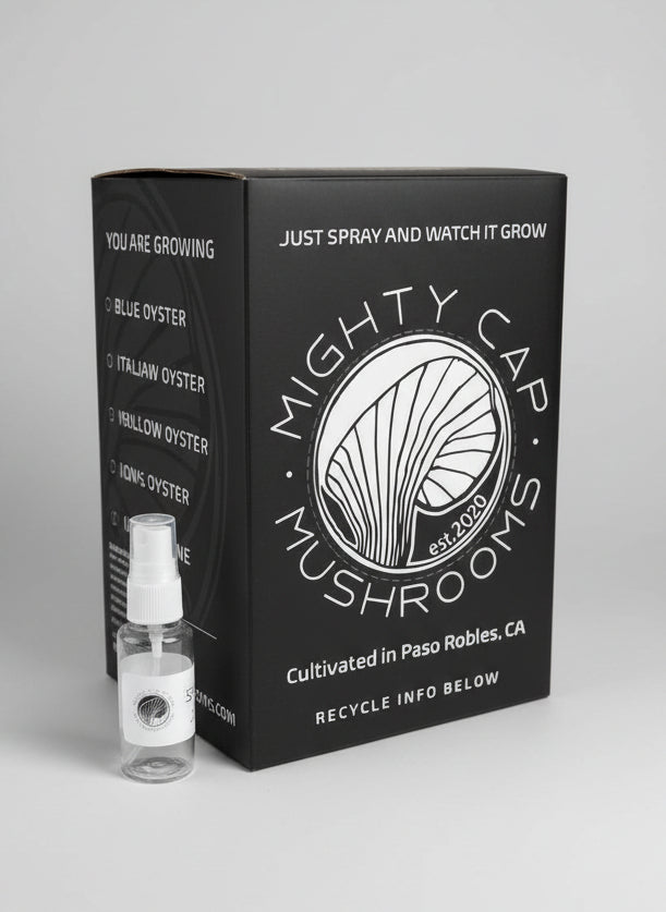 Home Grow Kit Blue Oyster Mushroom