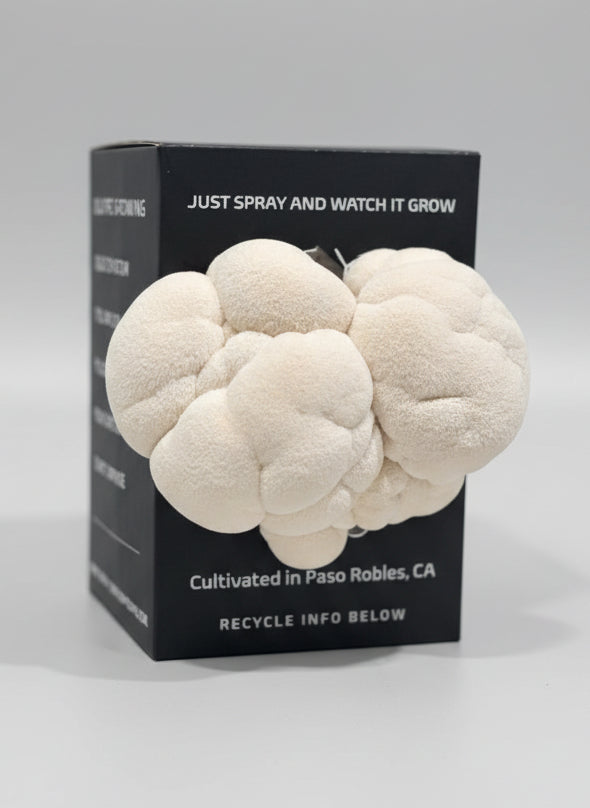 Home Grow Kit Lion's Mane Mushroom