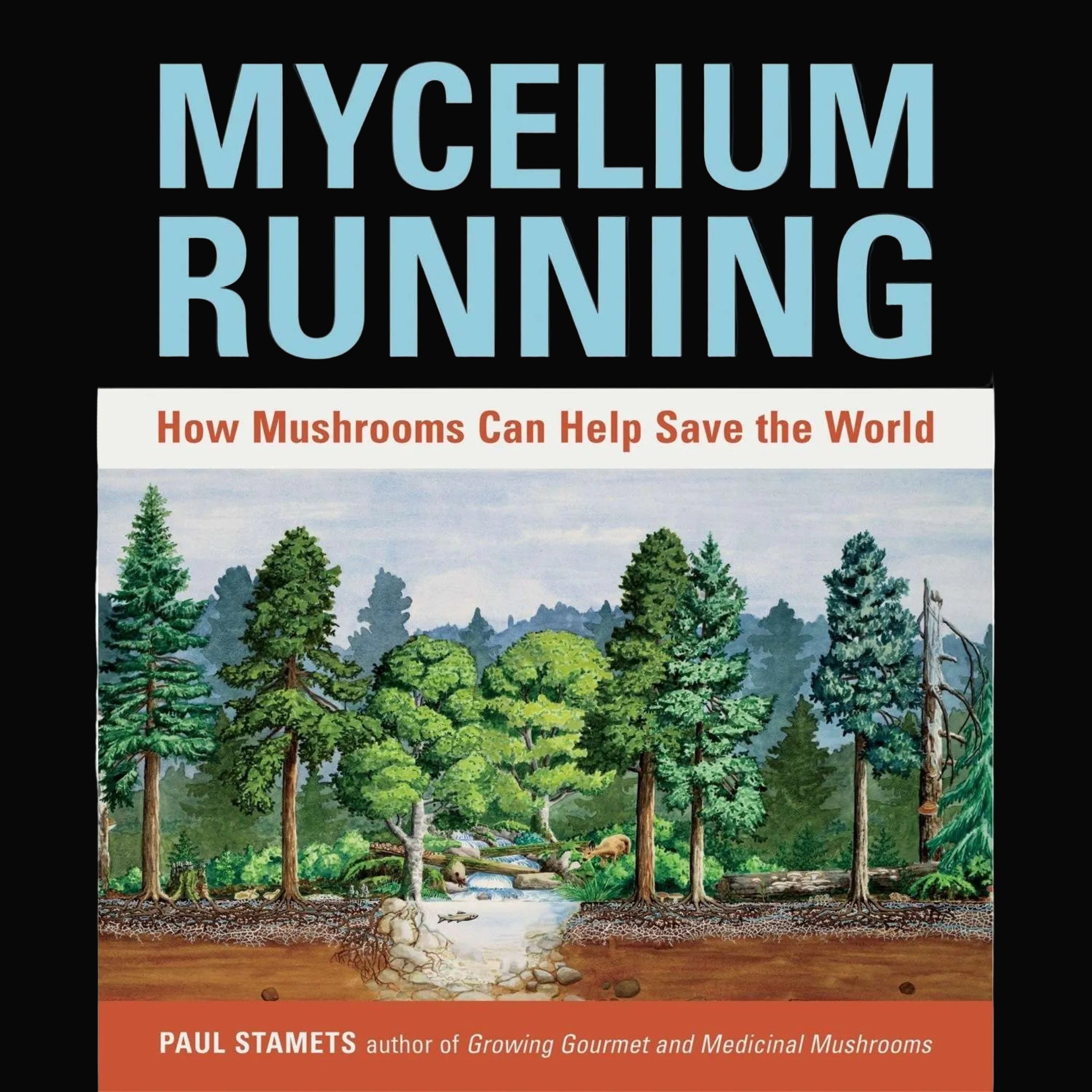 Book-Mycelium Running: How Mushrooms Can Help Save the World