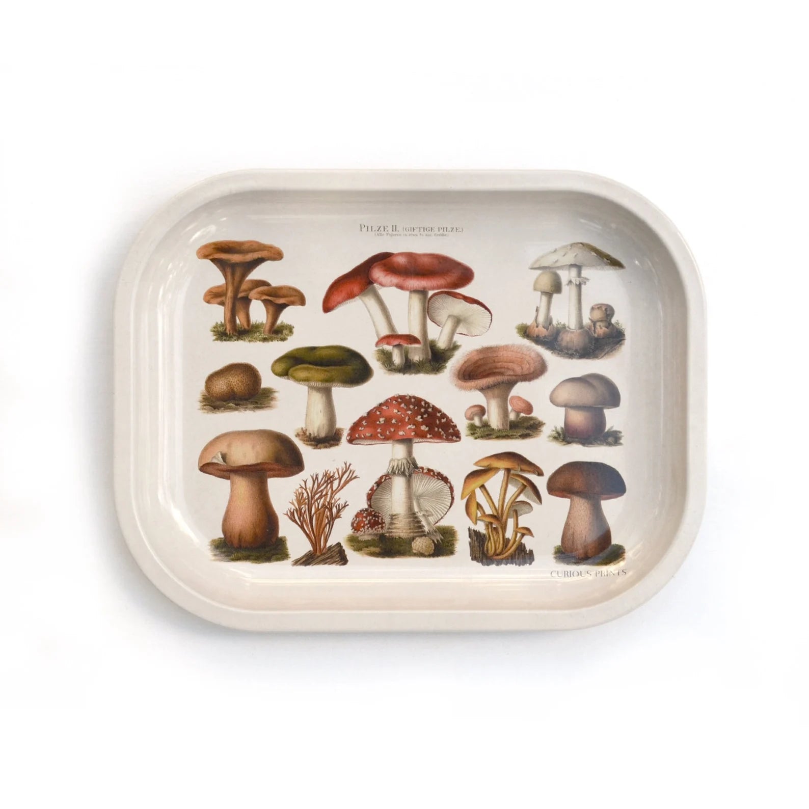 Mushroom Trays