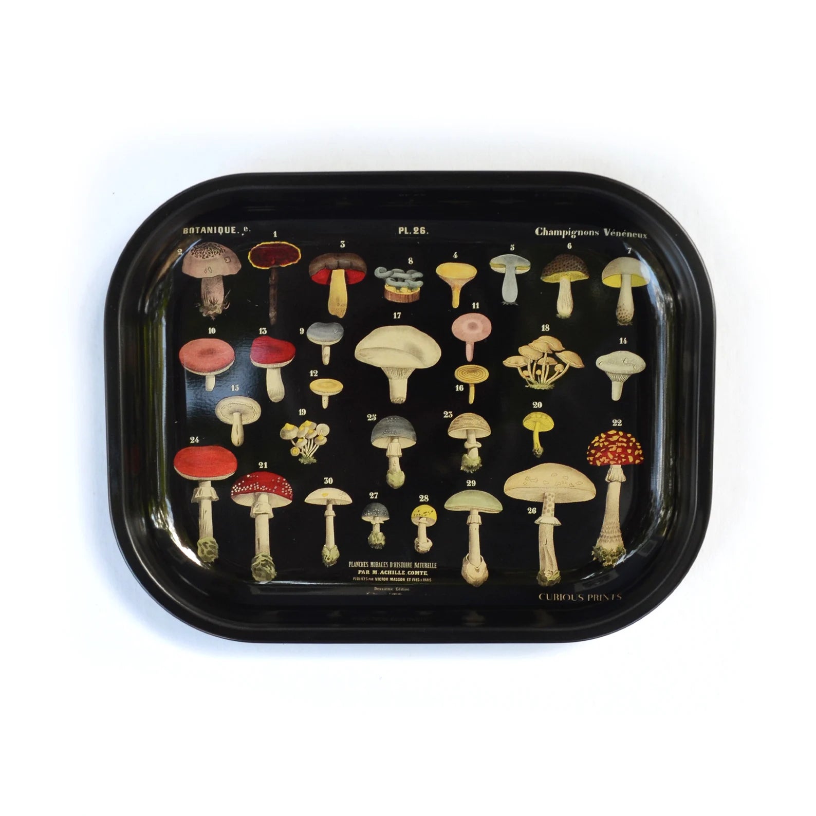 Mushroom Trays