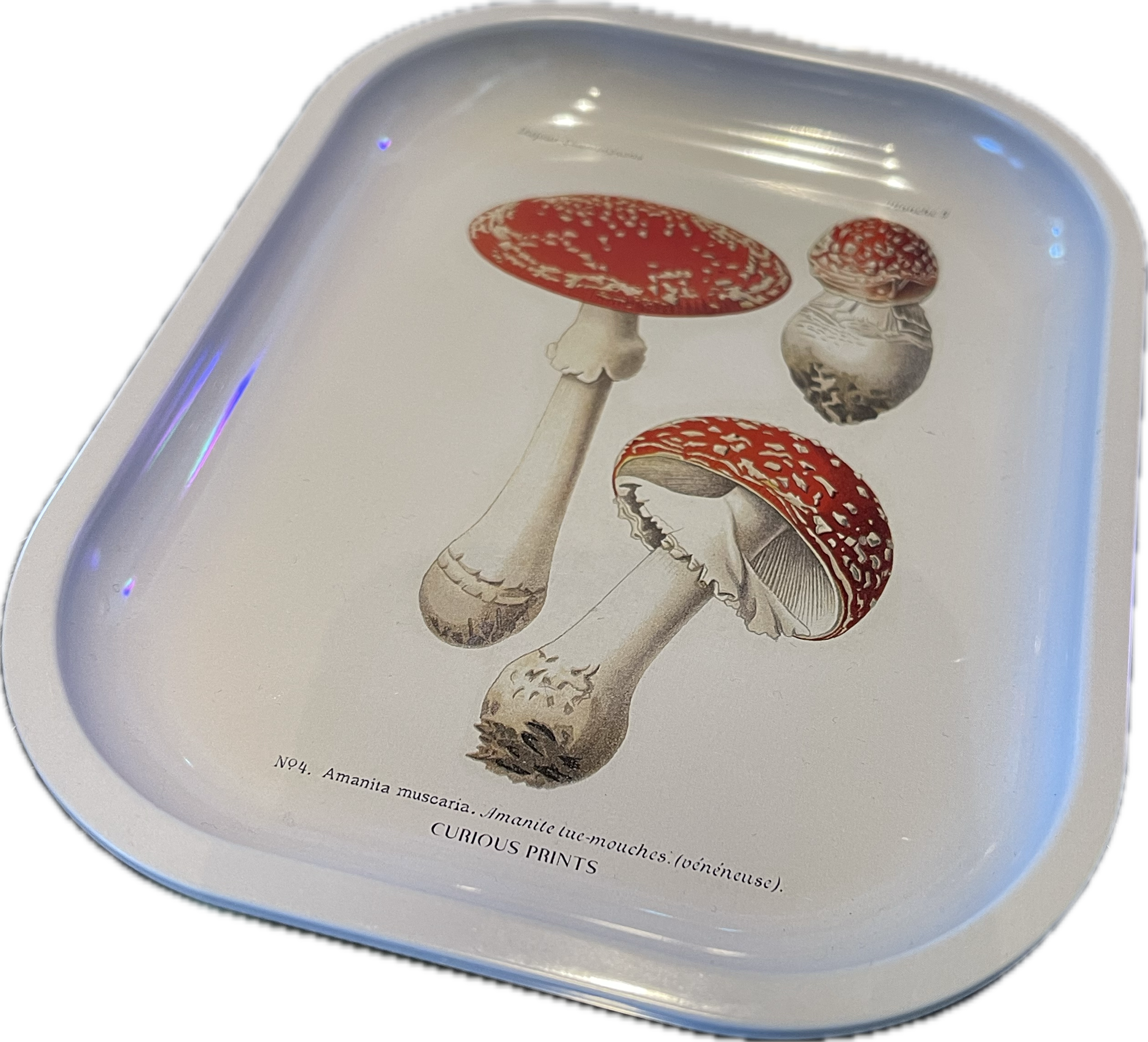 Mushroom Trays